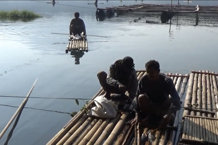 Penjelasan Dinas Perikanan Terkait Fenomena Koyo di Ranu Klakah Lumajang, Ikan Kekurangan Oksigen