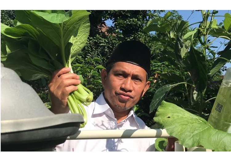 Menerapkan urban farming bisa memenuhi kebutuhan sayuran untuk keluarga. Seperti yang dilakukan Dosen Program Pendidikan Manajemen Sumber Daya Akuatik Universitas Gadjah Mada (UGM) Yogyakarta Suadi ini. 