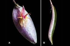 Promo Akhir Tahun Yes Deals KAI, Tiket Kereta Api Diskon 25 Persen