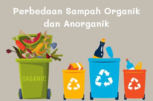 Perbedaan Sampah Organik dan Anorganik