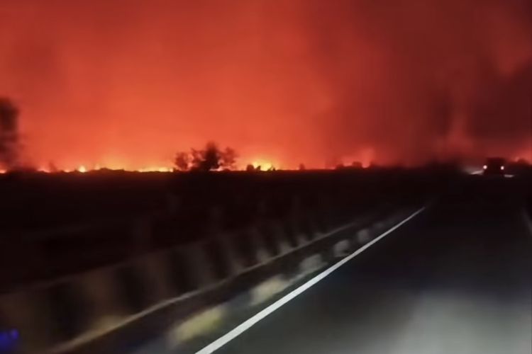 Api Karhutla Tinggal 20 Meter dari Rumah, Warga Palangka Raya Pilih Bertahan dan Waspada