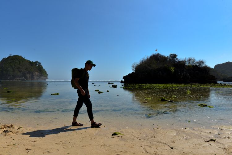 Kawasan Clungup Mangrove Conservation (CMC) Tiga Warna (wonderfulimages.kemenparekraf.go.id)