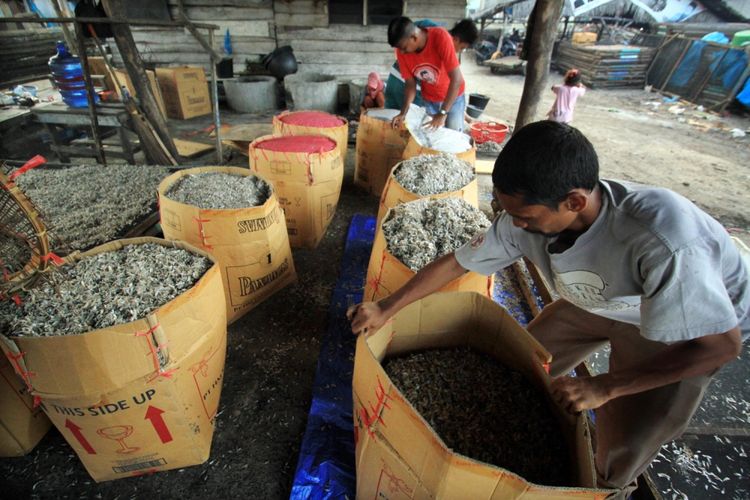 Pekerja melakukan pengepakan setelah penjemuran dan penggaraman di tempat produksi ikan kering, Lhokseumawe, Aceh, Rabu (26/7/2017). .