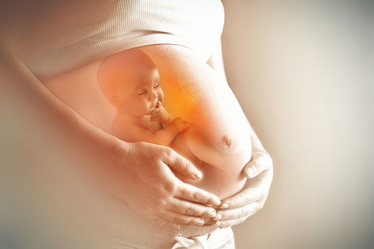 Ilustrasi bayi dalam kandungan, ibu hamil. Berikut ini cara mencegah anemia pada ibu hamil agar tidak berakibat buruk bagi anak