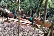 Patroli Gabungan Temukan Aktivitas Pembalakan Liar di Hutan Lindung Sumbawa