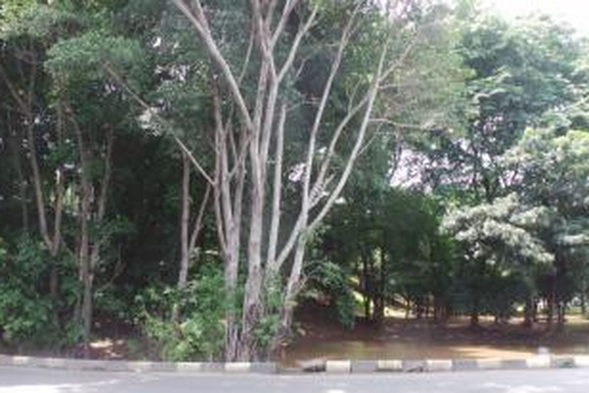 Ruang terbuka hijau yang ditumbuhi pepohonan rindang ini menjadi lokasi waria menjajakan seks di jalur memutar di dekat kolong fly over Jalan Sentra Primer, Pulogebang, Cakung, Jakarta Timur. Jumat (30/1/2015).