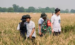 Serapan Gabah Kering di Karawang Lebih dari 95.000 Ton, Bulog: Ini Kebahagiaan Para Petani