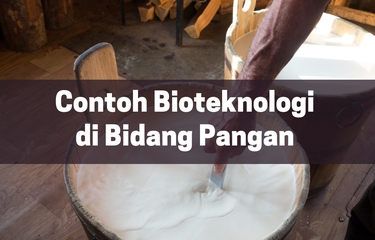 Ilustrasi bioteknologi di bidang pangan