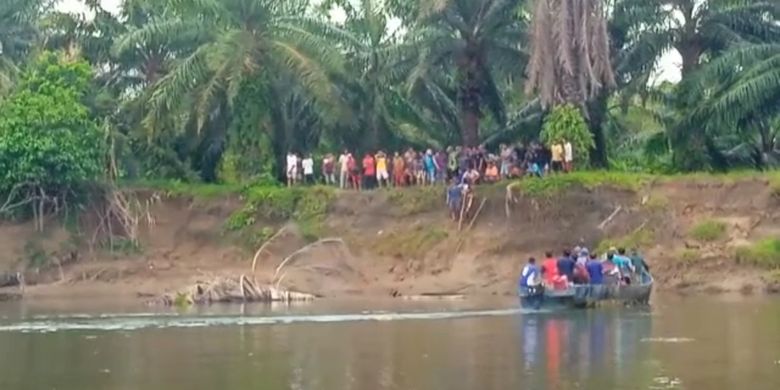 Warga dan Tim SAR mencari seorang pencari lokan yang hilang setelah diterkam buaya di Mukomuko, Bengkulu.