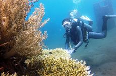 Bangsring Underwater Banyuwangi, Ekowisata Terumbu Karang Karya Nelayan Lokal