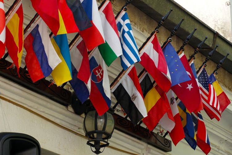 Ilustrasi OECD Council.