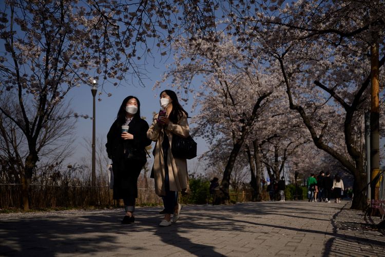 Pejalan kaki yang mengenakan masker untuk mencegah virus corona,berjalan di antara pohon bunga yang mekar di distrik Yeouido, Seoul, 5 April 2020.