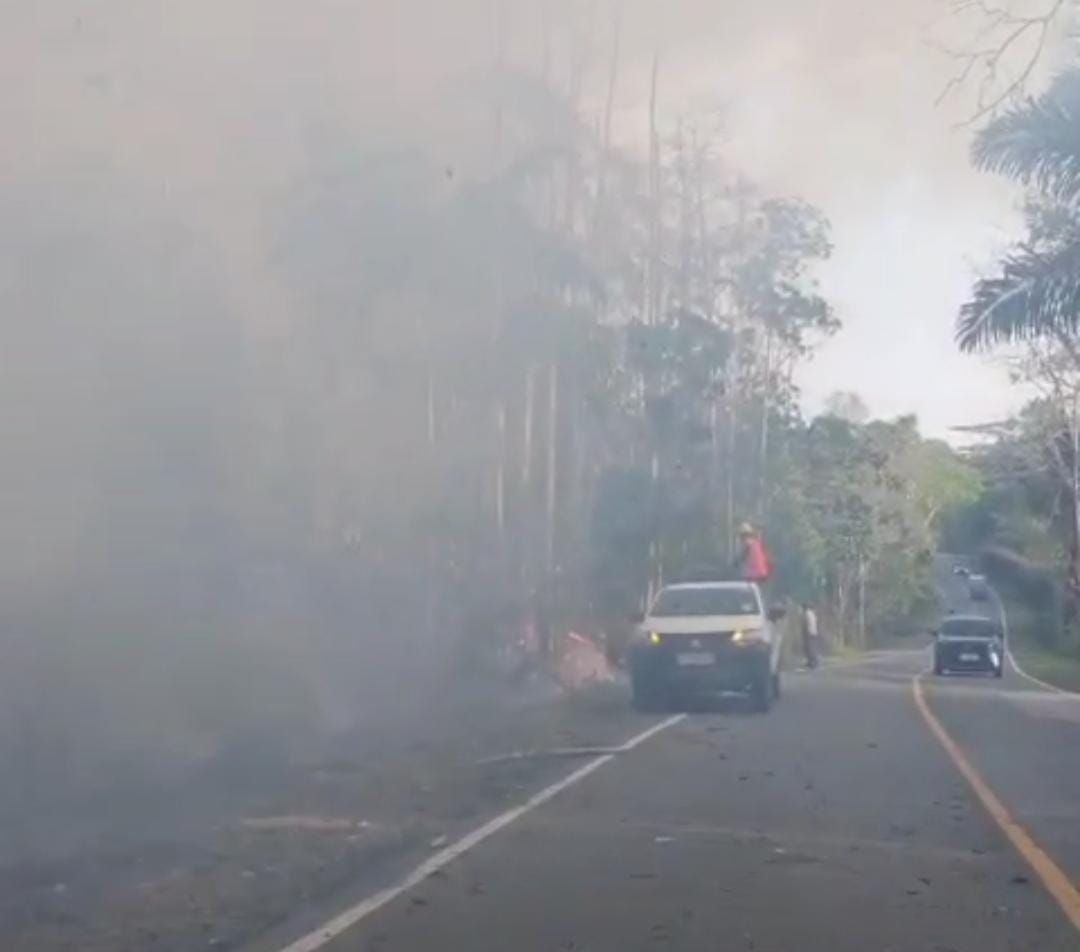 Hutan Bukit Soeharto di Kaltim Terbakar, Arus Kendaraan Terganggu
