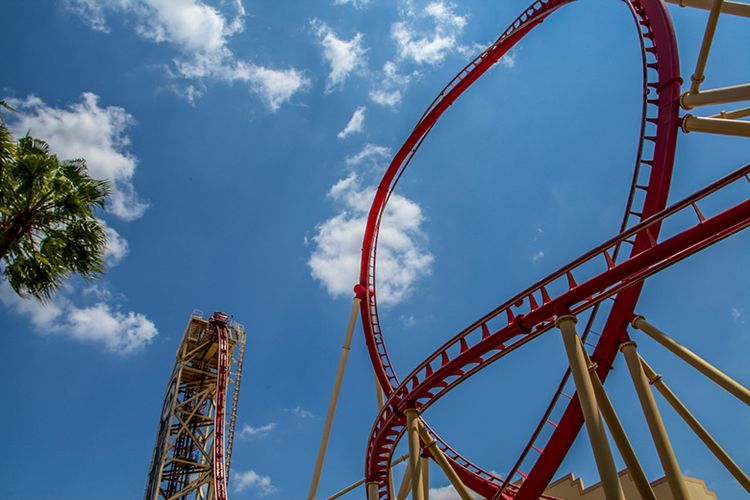 Roller Coaster Sheikra di AS.