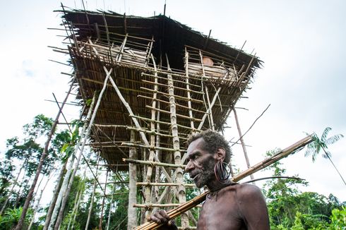 Mengenal Suku Korowai di Papua Selatan, Hidup di Pohon, Menjunjung Tinggi Hak Ulayat