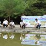 Cegah Abrasi, Area Sekitar Stasiun Gas di Lampung Ditanami 1.000 Bibit Mangrove