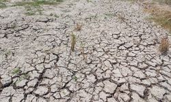 Emisi Gas Rumah Kaca Sebabkan El Nino Ekstrem Lebih Sering Terjadi