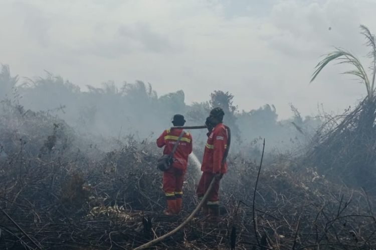 Karhutla Membara di Indragiri Hulu, Hampir 10 Hektar Lahan Terbakar