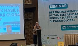 Ekspor Produk Hasil Hutan Stagnan, Kemenhut Genjot Hilirisasi