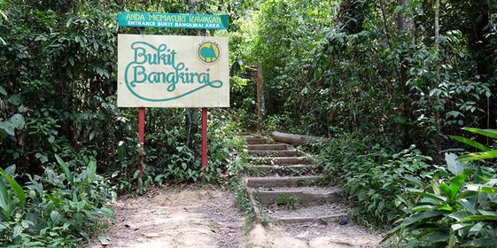 Bukit Bangkirai di Kalimantan Timur. 