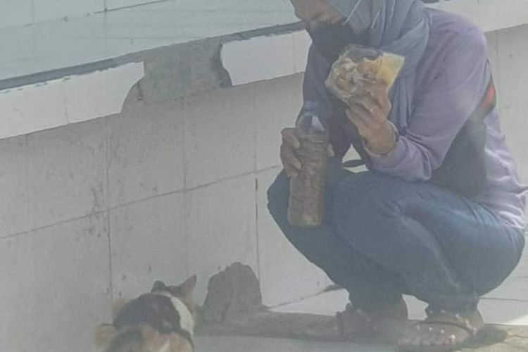 Rahma saat memberi makan untuk kucing yang telantar di Nunukan, Kalimantan Utara.