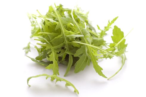 Mengenal Arugula, Sayuran yang Mendukung Kesehatan Ginjal