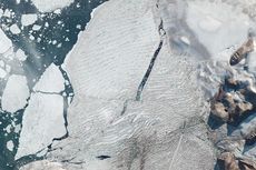 Dataran Es Terakhir Berusia 4.000 Tahun di Arktik Terbelah