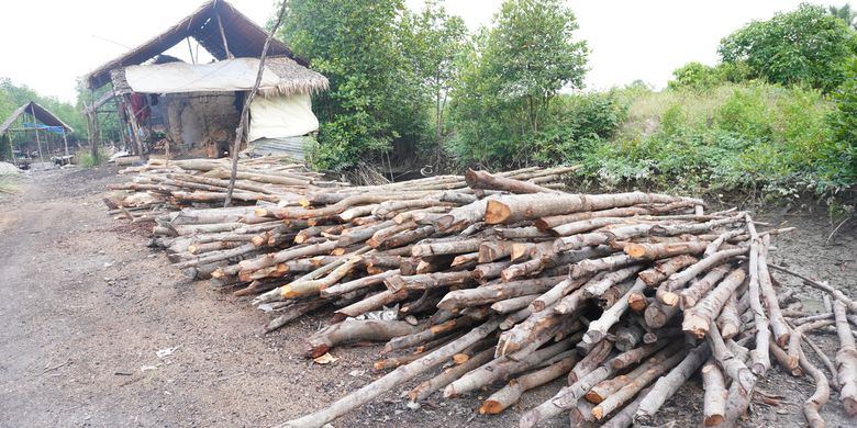 Pengambilan kayu bakau untuk dapur arang terjadi di Kecamatan Pangkalan Susu, Kabupaten Langkat. Perambahan merupakan salah satu ancaman terhadap keberadaan hutan mangrove di kawasan pesisir pantai timur Sumatera.