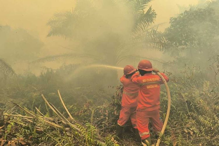 Zona Merah Karhutla Sumsel Meluas, 11 Kabupaten/Kota Kini Masuk Daerah Rawan