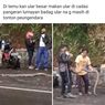 Viral King Cobra Jatuh dari Pohon di Sumedang, Ahli Reptil Jelaskan