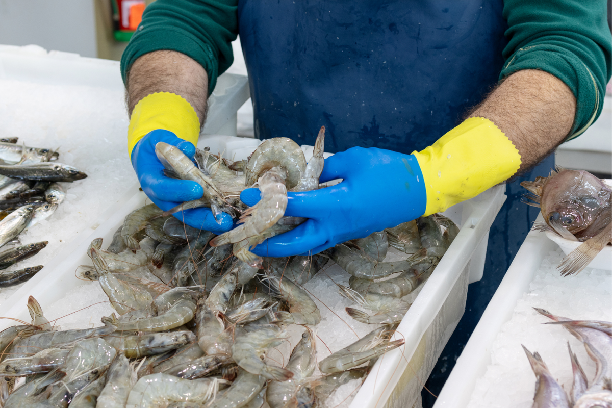 Ilustrasi Kenapa Tidak Boleh Makan Makanan yang Terpapar Radioaktif Cesium-137? Ini Penjelasan Ilmiahnya