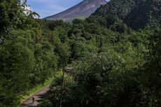 BPBD DI Yogyakarta Minta Warga Tak Terhasut Hoaks soal Gunung Merapi