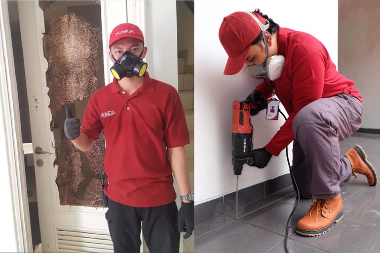 Butuh Jasa Anti Rayap Berpengalaman di Jakarta? Hubungi FUMIDA 0822-1177-1166 / 0822-1123-1123. Berpengalaman dan Profesional. 

