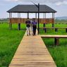 Jembatan Kayu Agrowisata Ngalor Kalo, Spot Instagramable dengan Lanskap Sawah