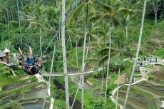 Sejak Pandemi, Jumlah Wisatawan Internasional di Dunia Menurun Drastis