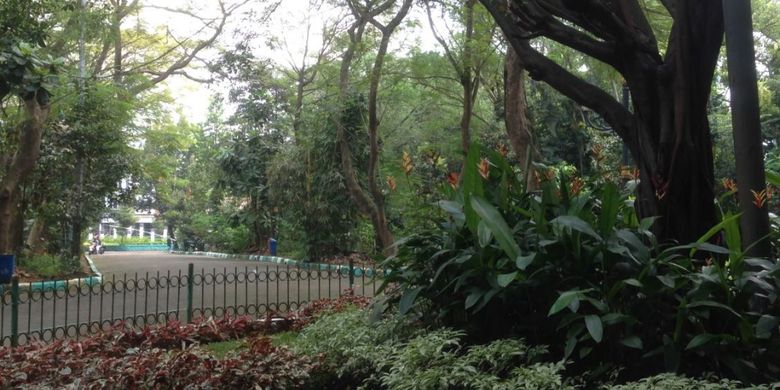 Hutan kota Srengseng yang berlokasi di Jalan Haji Kelik, Srengseng, Jakarta Barat, merupakan salah satu contoh pemanfaatan ruang terbuka hijau (RTH) di Jakarta.