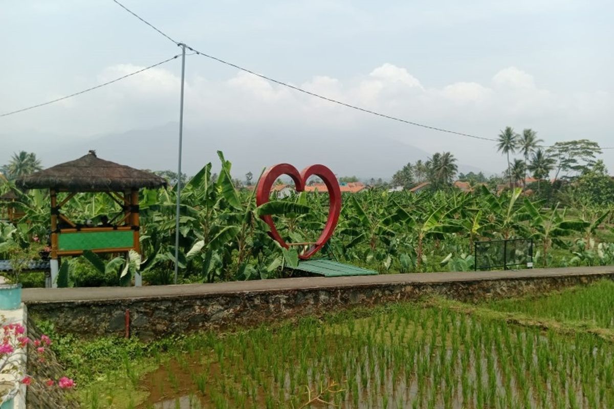 Sawah Lope merupakan salah satu destinasi wisata di Desa Cikaso, Kabupaten Kuningan, yang mengusung konsep wisata pertanian yang dekat dengan alam. 