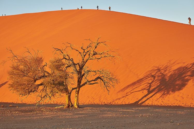 Ilustrasi bukit pasir. Bukit pasir di Sossusvlei, Namibia adalah yang tertinggi di dunia.
