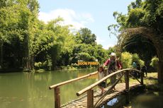 Boon Pring, Serunya Wisata Alam Bernuansa Bambu