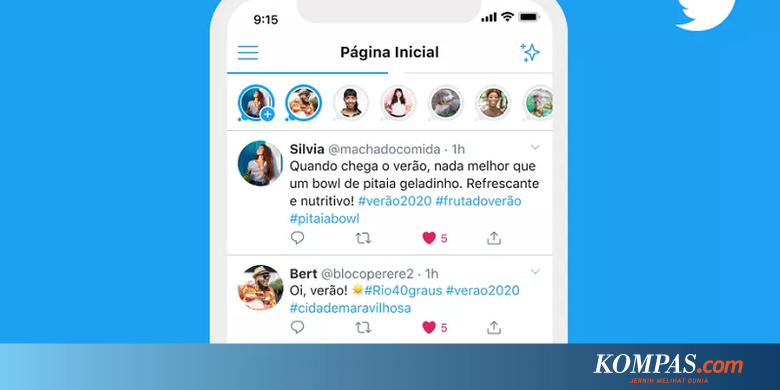 Twitter Uji Coba "Fleets", Fitur Mirip Instagram Stories