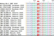 Mutasi Virus SARS-CoV-2 Ada di Indonesia, 3 di Antaranya di DIY-Jateng