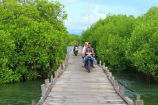 Menghirup Kedamaian di Pulau Osi