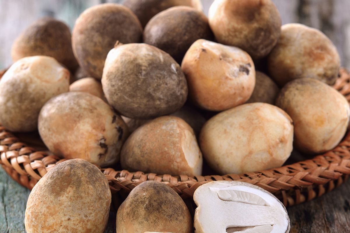 Ilustrasi jamur merang. 