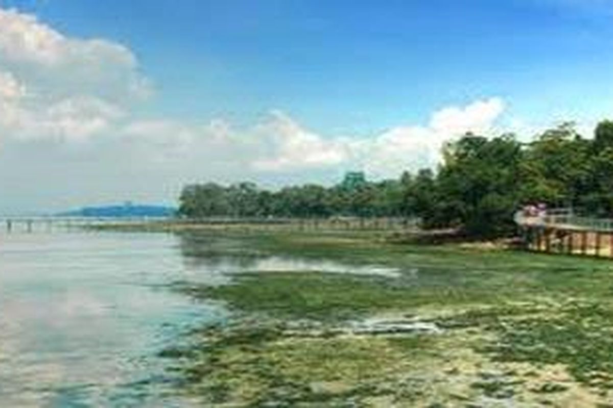 Pemandangan Chek Jawa