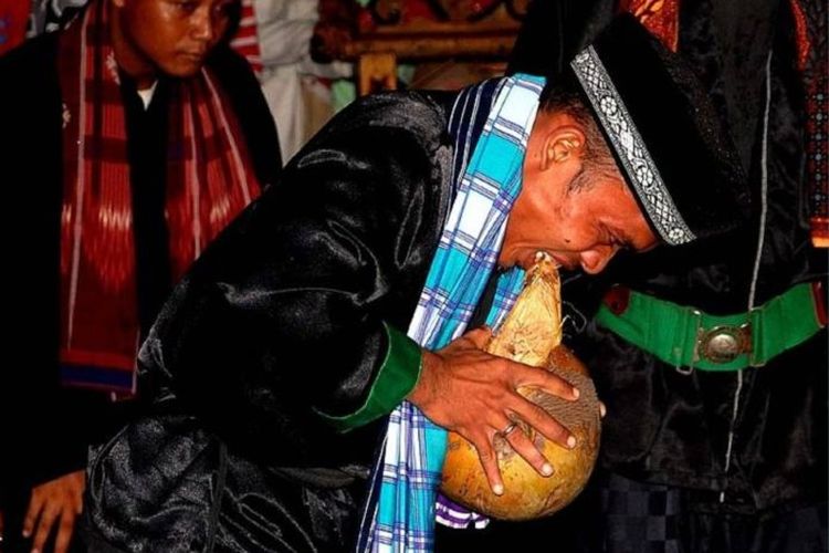 Atraksi debus Banten mengupas kulit kelapa dengan menggunakan gigi.