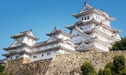 SejutaCita Future Leaders 2025: Program Kepemimpinan ke Jepang Gratis dan Ada Beasiswa Rp 15 Juta