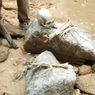 Hilang sejak 2011, Pria Ini Ditemukan Tinggal Kerangka di Dalam Goa