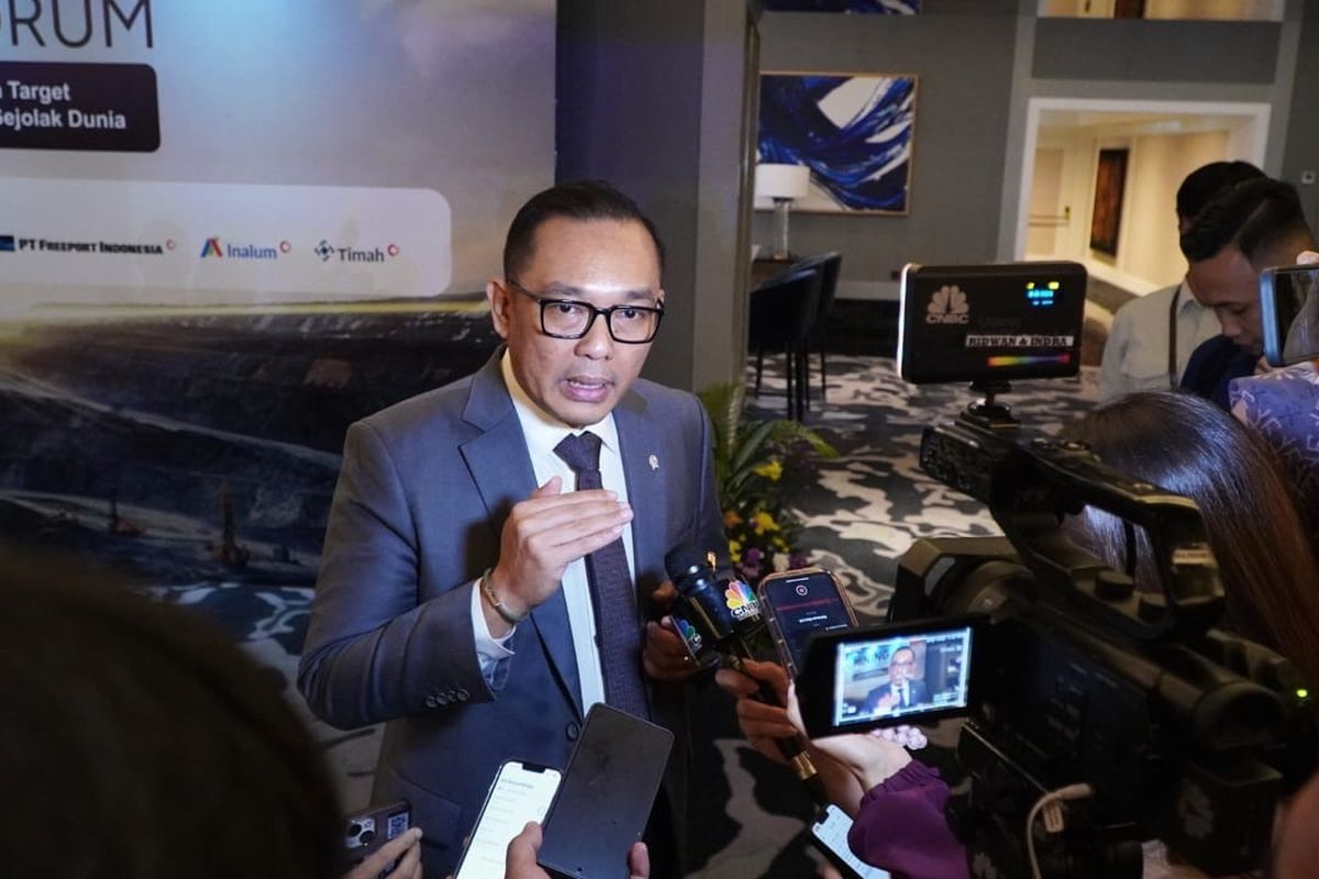 Wakil Menteri Investasi dan Hilirisasi (Wameninveshil)/Wakil Kepala BKPM Todotua Pasaribu.