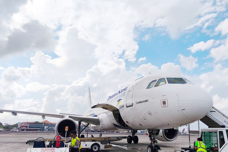 Ilustrasi pesawat TransNusa. 