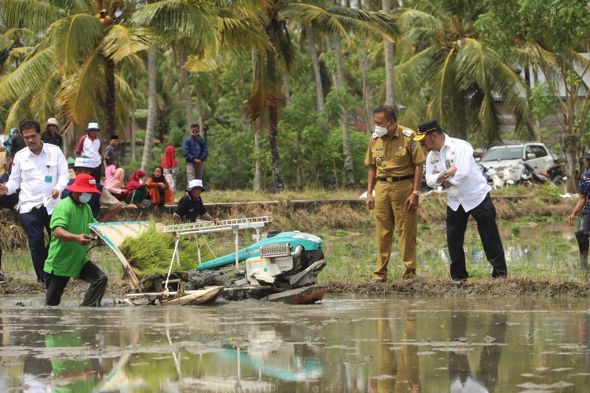 Mentan SYL Dorong Petani Bone Tingkatkan Produksi Padi Dengan IP 400